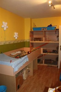 img_2122 (Small).jpg img_2122 (Small).jpg