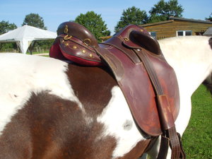 Stocksattel von hinten (mit Kruppe).JPG
