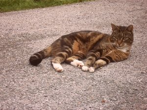 DrauÃŸen ist es am SchÃ¶nsten!.JPG