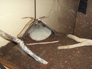 Terrarium bearbeitet 1.jpg