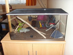 Terrarium bearbeitet.jpg