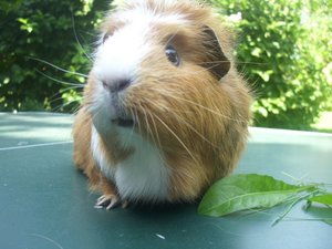 DSCI0212.JPG DSCI0212.JPG