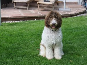 IMG_2453 - Kopie.JPG