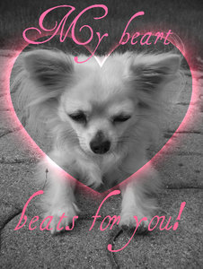 my heart beats for you.jpg