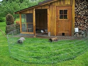 kaninchenstall 041.jpg