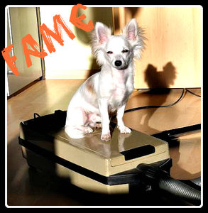 fame staubsauger.jpg