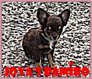 miro...JPG miro...JPG