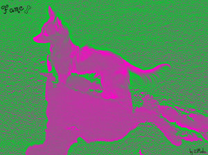 fame schneecxvbdf.jpg