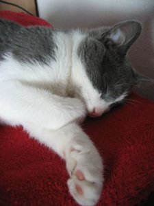 anstrengender Tag gewesen.jpg