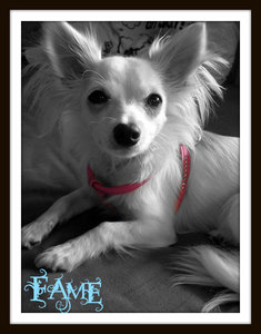 fame pink1.jpg fame pink1.jpg