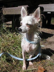 fame bearbeiten 2.jpg