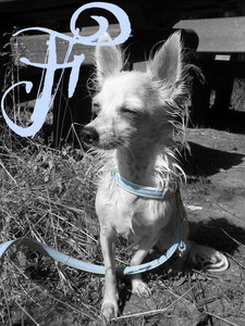 fame bearbeiten 2.jpg