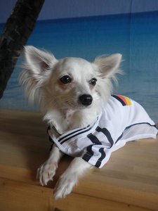 fame bearbeiten 4.jpg