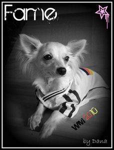 fame bearbeiten 4.jpg fame bearbeiten 4.jpg