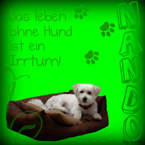 Nando-KÃ¶rbi s-g.jpg