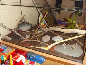 neu eingerichtet 2.jpg neu eingerichtet 2.jpg