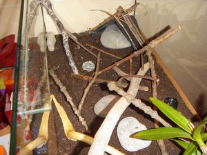 neu eingerichtet 7.jpg neu eingerichtet 7.jpg