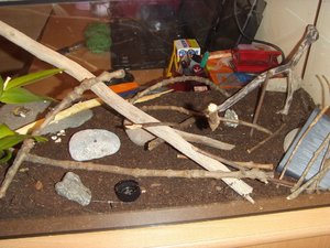 neu eingerichtet 9.jpg neu eingerichtet 9.jpg