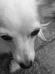 fame bearbeiten 6.jpg