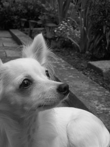 fame bearbeiten 7.jpg