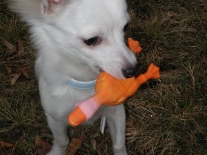 fame bearbeiten 8.jpg