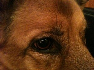 Lilli und Kelly (69).JPG