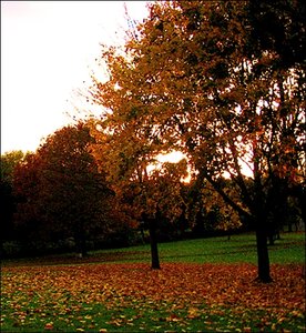 MatheMiriundhannah 076.jpg