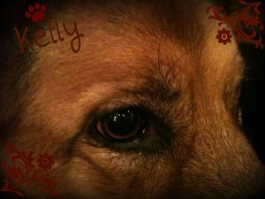 Lilli und Kelly (69).JPG