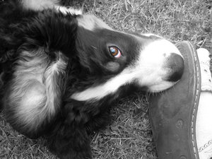 img2638zzz schwarz weiÃŸ mit bunt.jpg