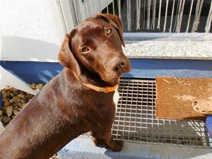 CIMG0433 (Small).JPG