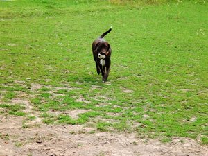 CIMG0453 (Small).JPG