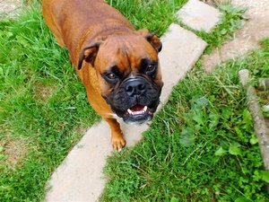 CIMG0471 (Small).JPG