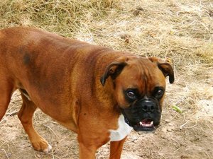 CIMG0477 (Small).JPG