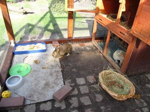 gehege.diezweite. 004.jpg