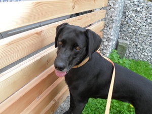 SDC19506.JPG SDC19506.JPG