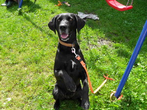 SDC19455.JPG SDC19455.JPG