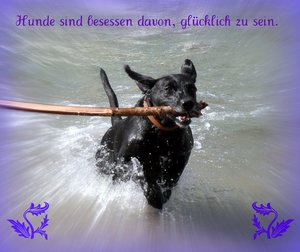 SDC19698-1.JPG SDC19698-1.JPG