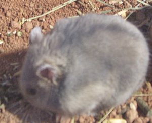 Mein Baby_952x768.JPG