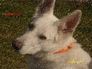 BilderMÃ¤rz2010 048.JPG