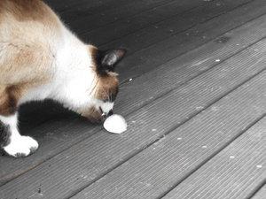 Wasser.jpg Wasser.jpg