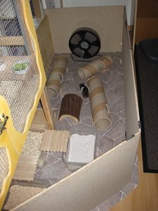 der neue auslauf.JPG