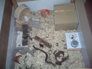 PICT0021.JPG PICT0021.JPG