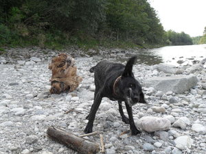 Bilder von 2010 Misch Masch 251.JPG Bilder von 2010 Misch Masch 251.JPG