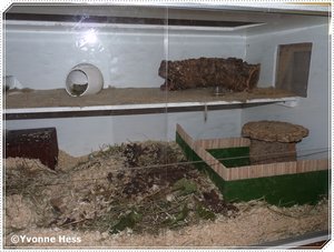 Maja's Gehege rechts.jpg