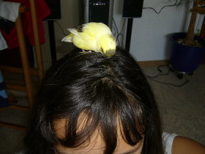 Rambo und Jolly 011.jpg