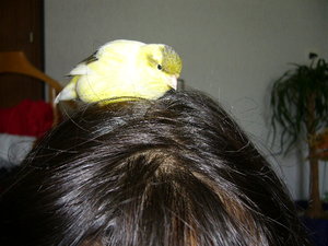 Rambo und Jolly 051.jpg