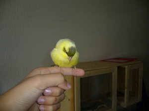 Rambo und Jolly 077.jpg