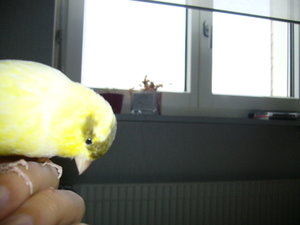 Rambo und Jolly 081.jpg