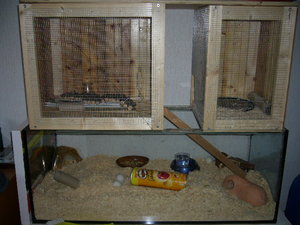 mein KÃ¤fig 003.jpg