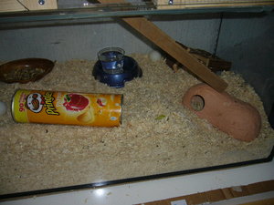 mein KÃ¤fig 001.jpg